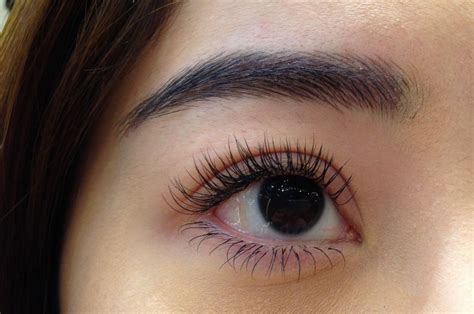 They can last for weeks at a time (some a good lash technician is like a stylist. whereas most technicians will have you choose between a standard set of options like curl, length, and. Everything You Need to Know Before Getting Eyelash Extensions in Singapore | CapitaLand