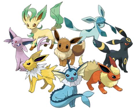 You can earn a maximum of 20. Pokémon: Eevee is my Favorite - Mae Polzine