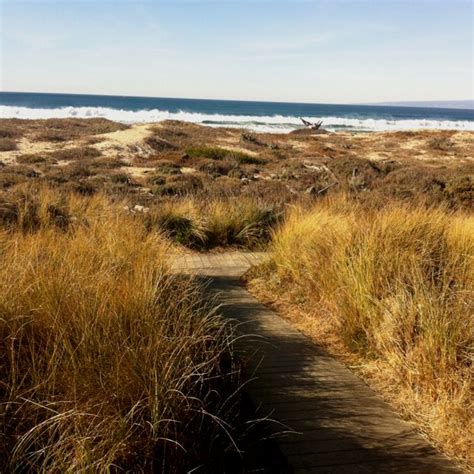Monterey Dunes Colony