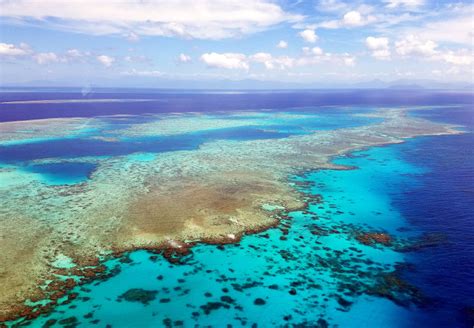 Decimation Of Reefs Would Send Flood Storm Damage Costs Soaring Study