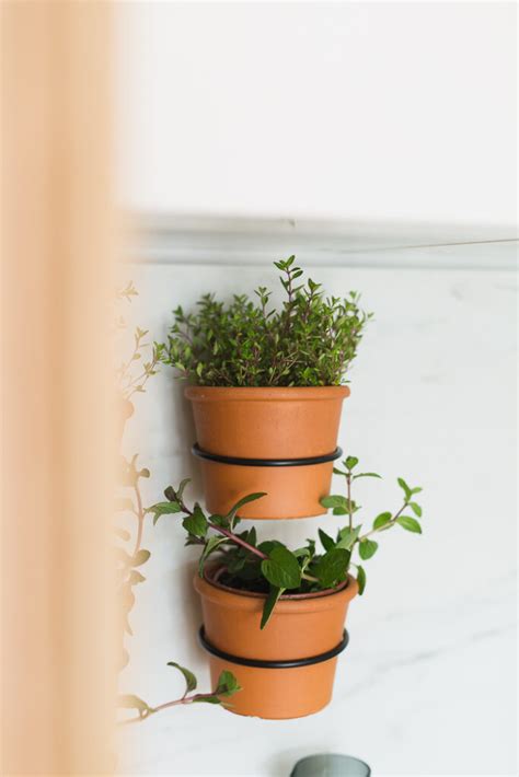 How To Make An Easy Indoor Herb Wall Garden Fall For Diy
