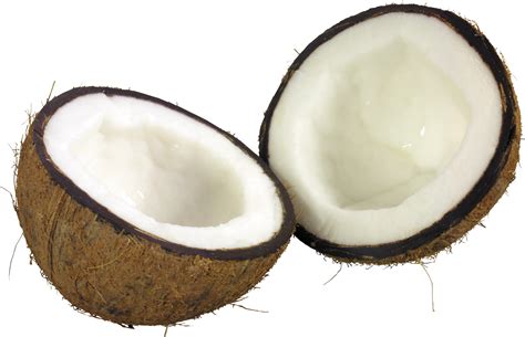 Collection Of Hq Coconut Png Pluspng