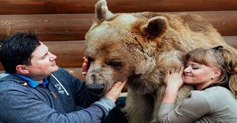 a couple and an orphaned bear cub have been living together for 23 years