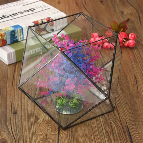 Want the best free diy greenhouse plans? Paving & Decking - Polygon Greenhouse Glass Terrarium DIY ...