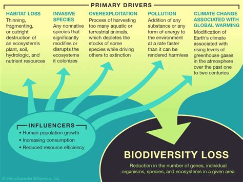 Biodiversity Loss Qr Learning Platform