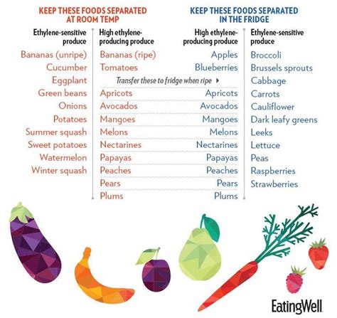 Vegetables Fruits Room Temp Refrigerator Reference Chart Fruit