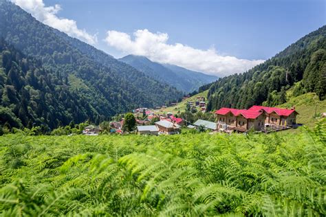 Denizli Çıkışlı Karadeniz Yaylalar Ve Batum Turu Gidiş Dönüş Lüks