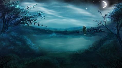 1080p Fantasy Owl Lake Starry Night Reflection Starry Reflected