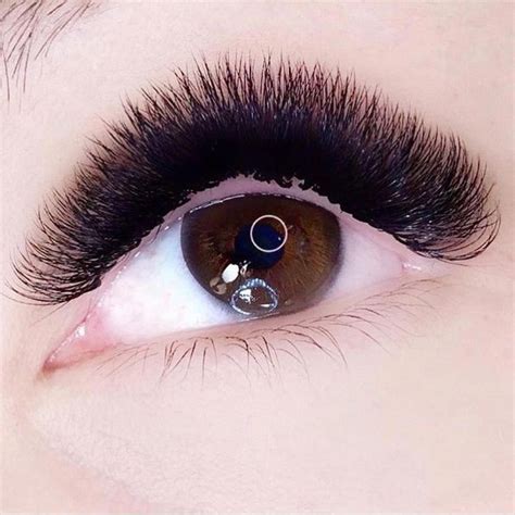 mega volume set in 2020 eye makeup tips lash extensions styles eyelashes