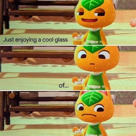 25 Funny Animal Crossing Memes That Blathers Probably Doesnt Want