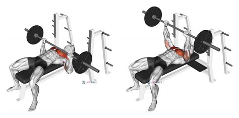 How To Do A Barbell Bench Press Home Gym Review