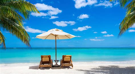 Barbados What Is The Best Time Of The Year To Visit
