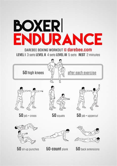 Boxer Endurance Workout Endurance Workout Boxing Workout Mma Workout