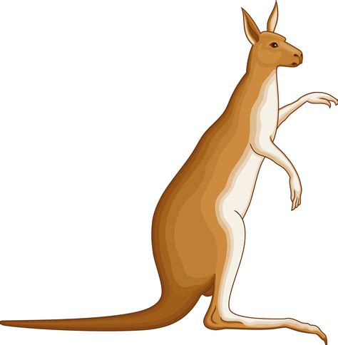 Kangaroo clipart mammal, Kangaroo mammal Transparent FREE for download png image