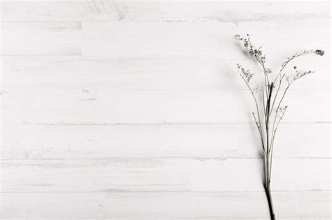 Flower On White Wooden Wall Background | Wall background, Background, Background powerpoint