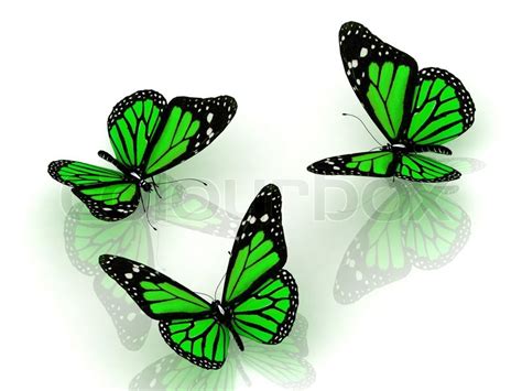 3d Three Beautiful Green Butterfly Discussing Something On