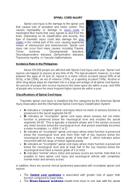 Understanding The Pathophysiology And Classifications Of Spinal Cord