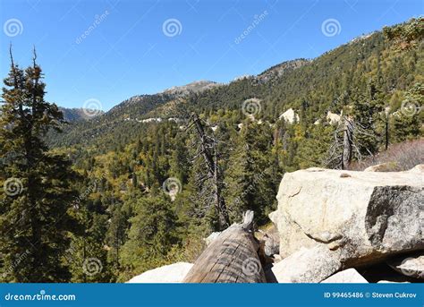 San Bernardino National Forest Stock Photo Image Of National Rugged