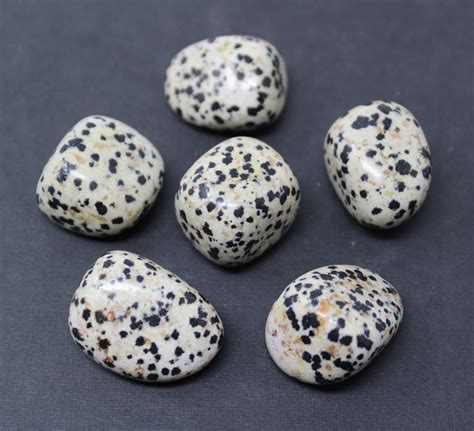 Dalmatian Jasper Tumbled Stones Choose How Many Pieces A Grade