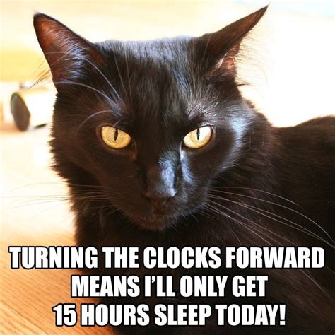 Pin By Amy On Cole And Marmalade Daylight Savings Time Messed Up Memes