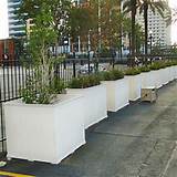 Commercial Large Planters Pictures