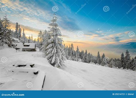 Beautiful Winter Sunrise Photo Taken In Mountains Stock Image Image