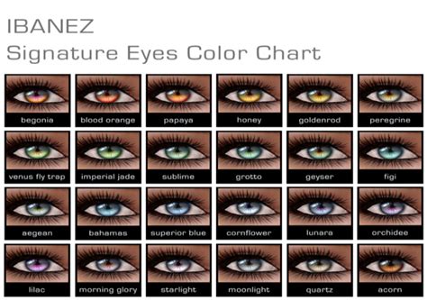 As 25 Melhores Ideias De Eye Color Charts No Pinterest Cor Dos Olhos
