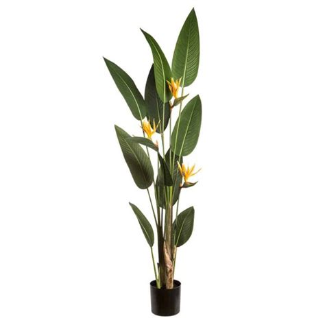 6′ Tropical Bird Of Paradise Plant With 3 Flowers In Pot Ornage Green