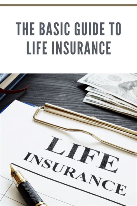 The Basic Guide To Life Insurance • Mommys Memorandum