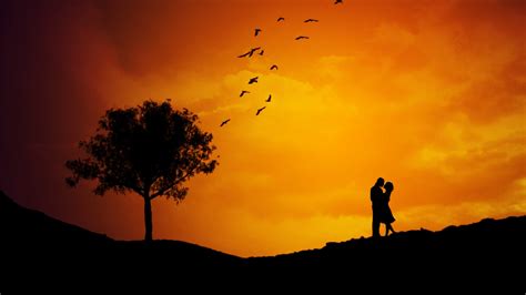 Couple 4k Wallpaper Silhouette Orange Sky Tree Birds Sunset