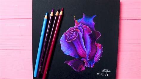 How To Draw A Beautiful Rose On Black Paper With Colored Pencils Youtube
