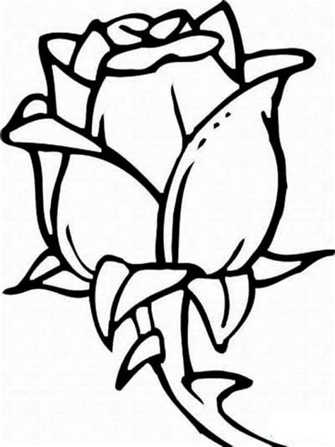 22 free flower coloring pages. Rose coloring pages. Download and print Rose coloring pages