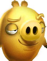 Along with the other pigs, the design for corporal pig has changed in the angry in angry birds space, if you use pig puffer, the helmet will fall, and corporal pig will instantly die. Golden Pig - Official Angry Birds Evolution Wiki