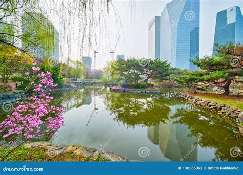Yeouido Park In Seoul In Summer South Korea Royalty Free Stock Image