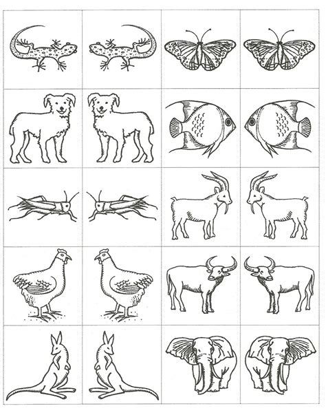 Free Noah S Ark Animal Printables Get Your Hands On Amazing Free