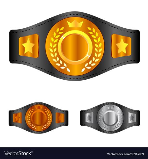 Champion Belt Box Award Sport Icon Flat Web Sign Vector Image