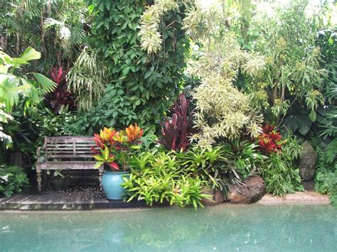 Tropical paradise | Tropical landscaping, Tropical garden, Tropical garden design