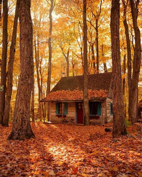 Pin By Jeanne Loves Horror💀🔪 On Autumn Pumpkins Autumn Cozy Cabins