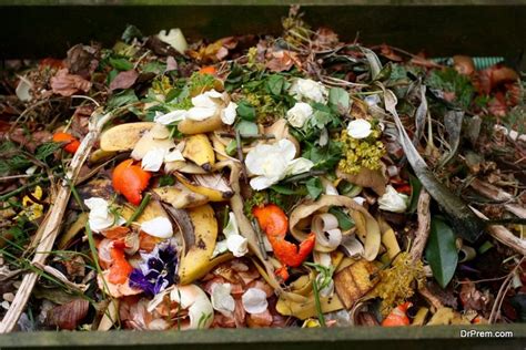 Current status 2.1 food waste trend in malaysia as we know, malaysia is made up of varieties of races and therefore a lot of great food can be found. 10 Reasons not to throw organic waste