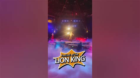 Festival Of The Lion King Youtube