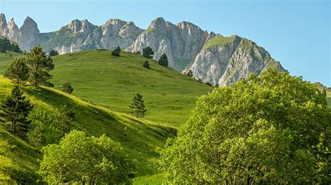 Zelengora Mountain Peaks And Meadows Sutjeska National Park Bosnia