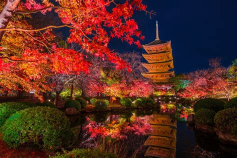 まるで鏡！境目がわからない程の京都の紅葉の美しさ ...