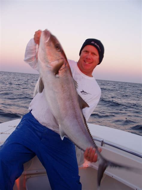 Amberjack Fishing Charters Clearwater Fl Fisheye Sportfishing