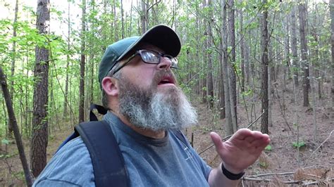 Alabama Bigfoot Bigfoot Sightings In A New Area Youtube