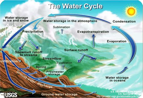 Reading Phases Of The Hydrologic Cycle Geology