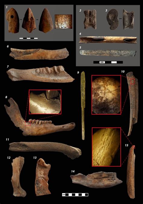 The Complex Of Bone Tools Of The Late Bronze Age From The Settlement