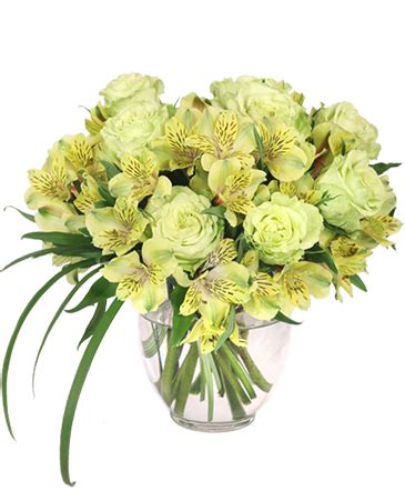 See more ideas about pleasant, south carolina, mt pleasant sc. Mount Pleasant Florist | Mount Pleasant SC Flower Shop ...
