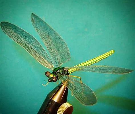 Dragonfly With Knitted Extended Body Pure Silk By Heinz Zöldi Diy