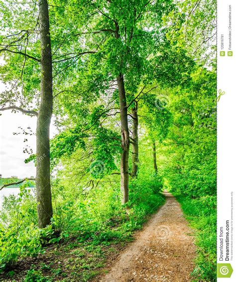 Path Along Beautiful Green Nature Landscape Stock Image Image Of