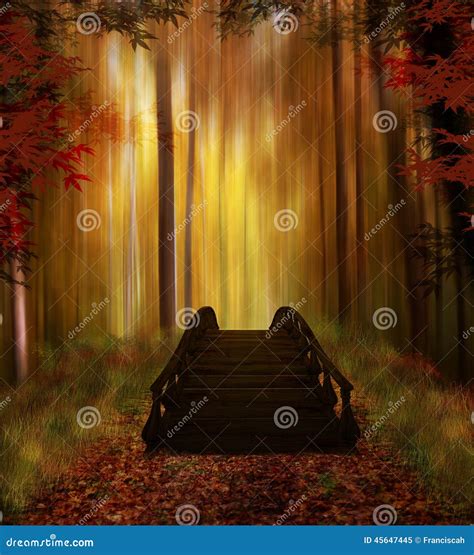 Enchanted Forest With Bridge Stock Image Image Of Landscape Grass